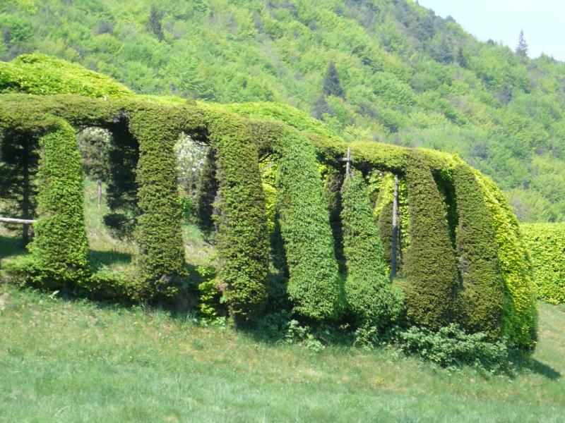 ...denn wir wollen nicht in eine Faslle tappen, wie die Zugvögel am Sauchsattel