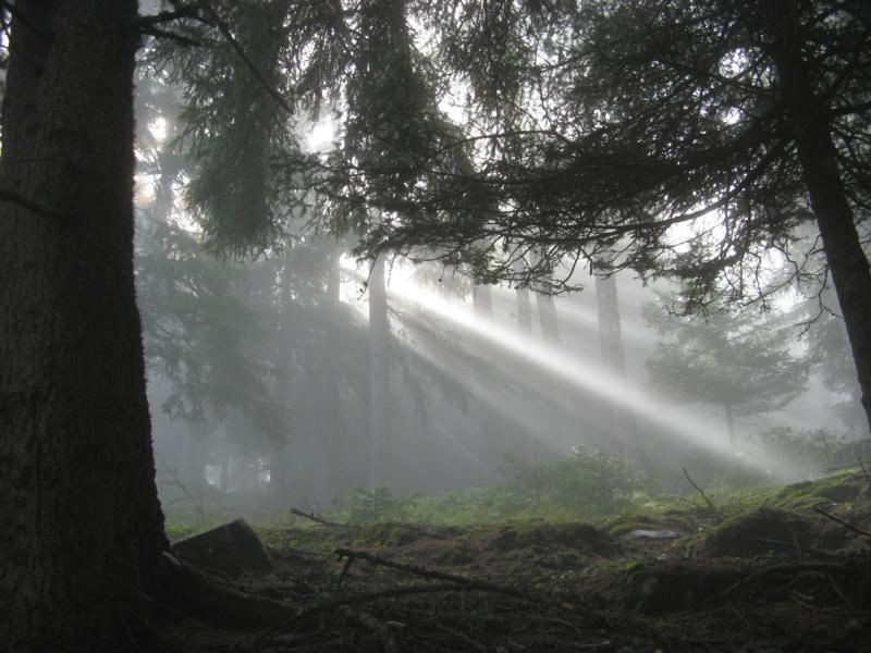 Unser Licht, unsere eigene Kernkraft, gibt uns immer wieder die Chance so zu sein wie wir sind