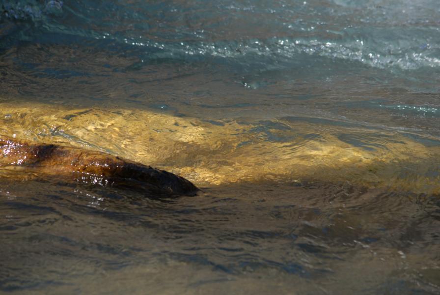 Manchmal scheint dieses Licht überflutet
