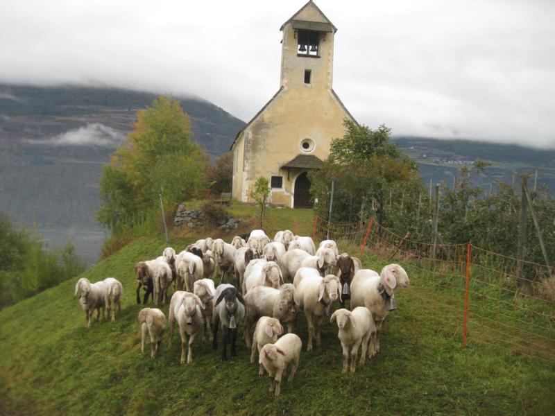 Im Bild die Ottiliakirche, wo um 12.00 Uhr das Konzert stattfindet