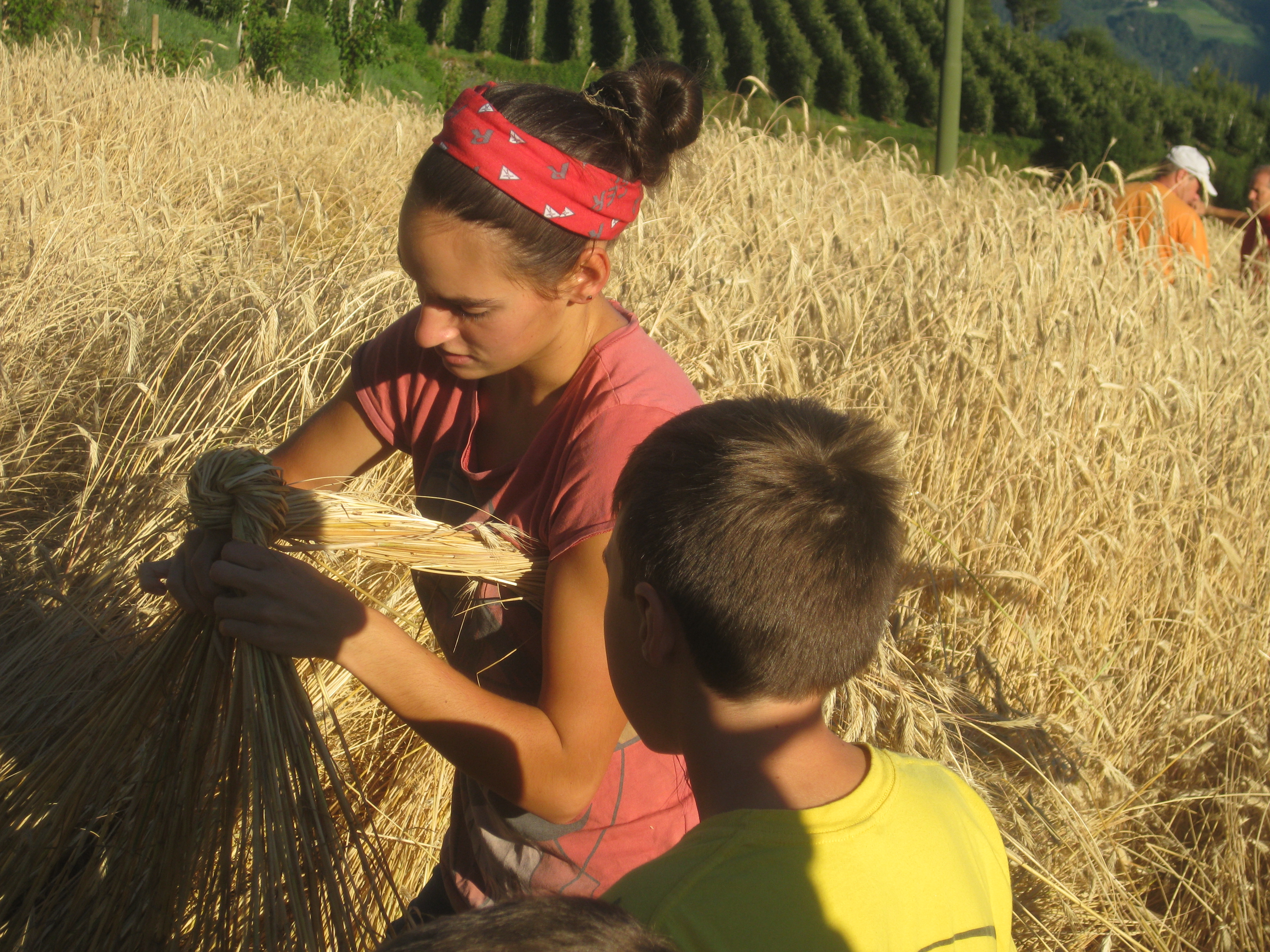 Tschengls Nov. Ende 1875