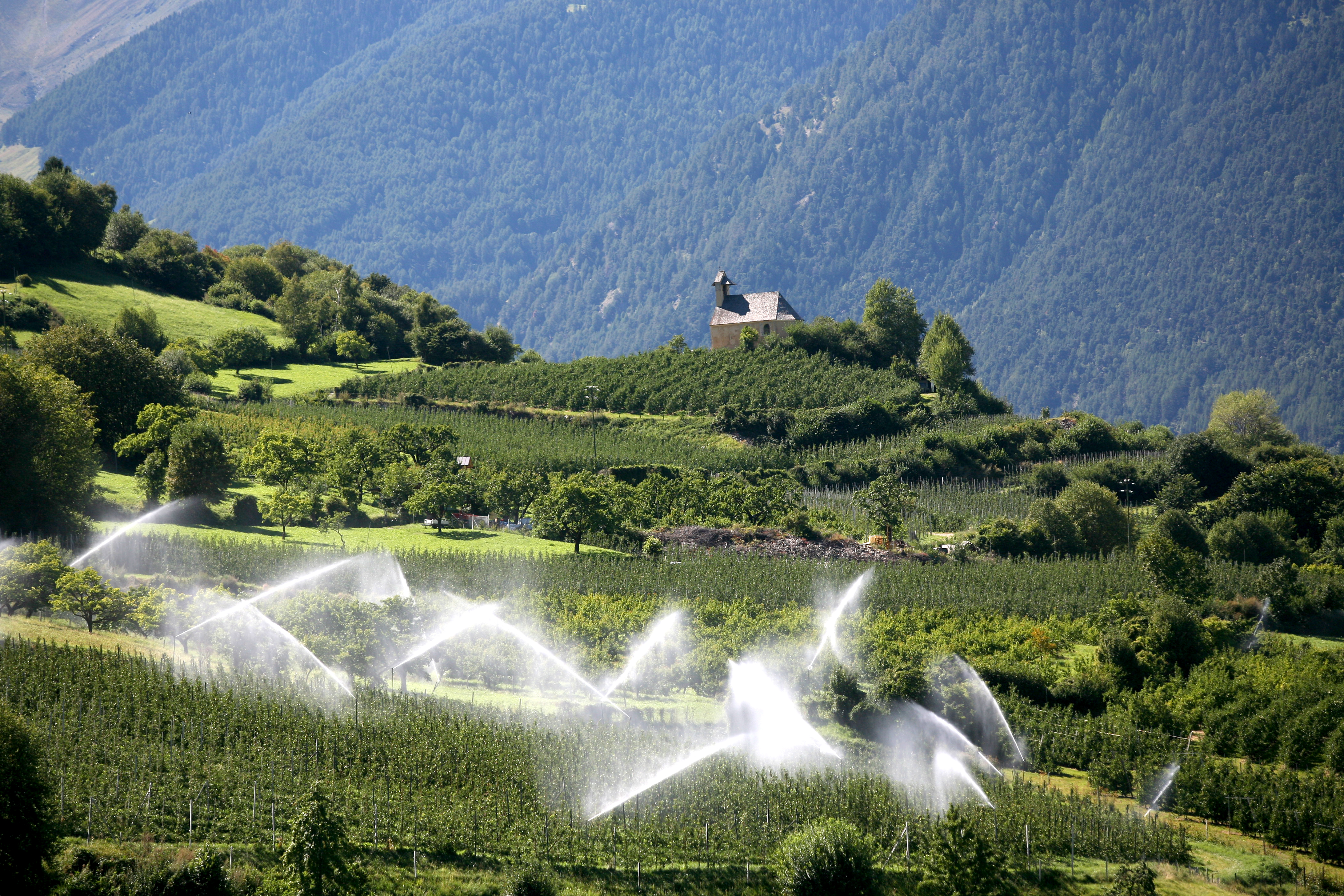 Die "Alten Felder" bei der Ottiliakirche